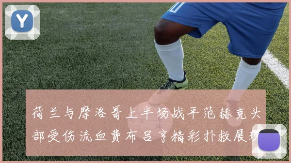 荷兰与摩洛哥上半场战平范赫克头部受伤流血费布吕亨精彩扑救展现实力